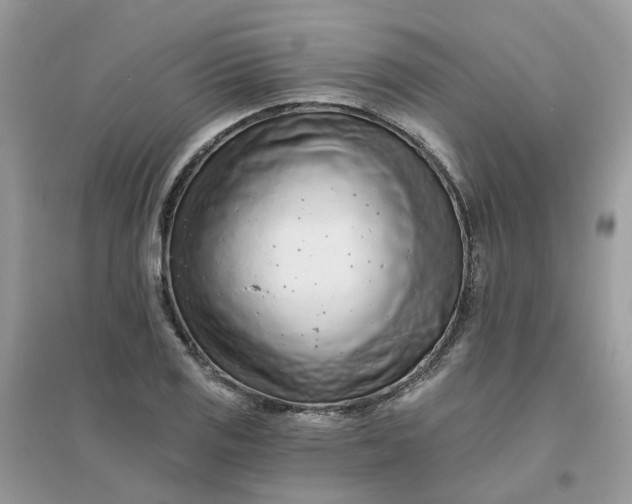 X0000096151125200802011227