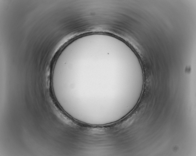 X0000096151126200802011227