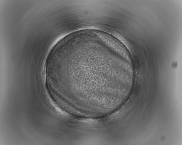 X0000096151127200802011227