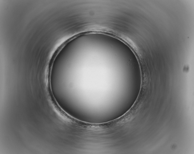 X0000096151128200802011227