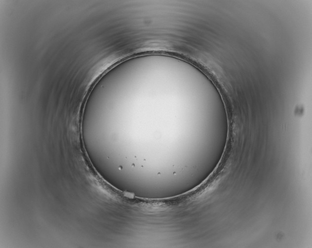 X0000096151129200802011227