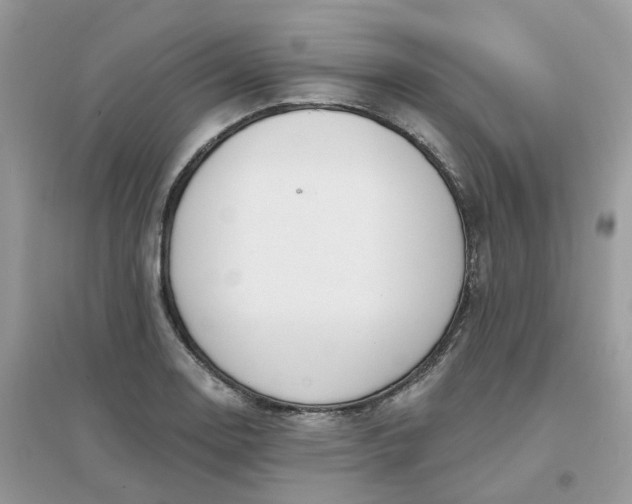 X0000096151130200802011227