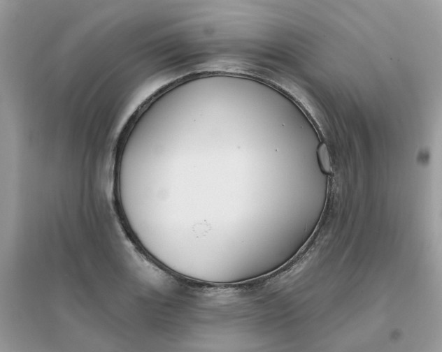 X0000096151131200802011227