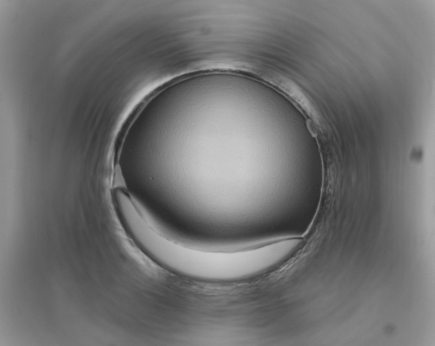 X0000096151132200802011227