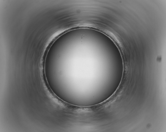 X0000096151133200802011227