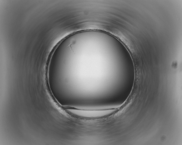 X0000096151134200802011227