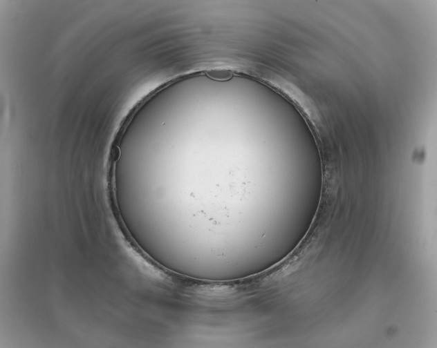 X0000096151135200802011227