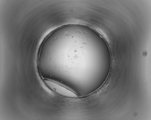 X0000096151136200802011227