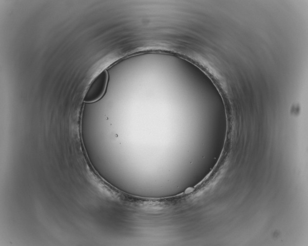 X0000096151137200802011227