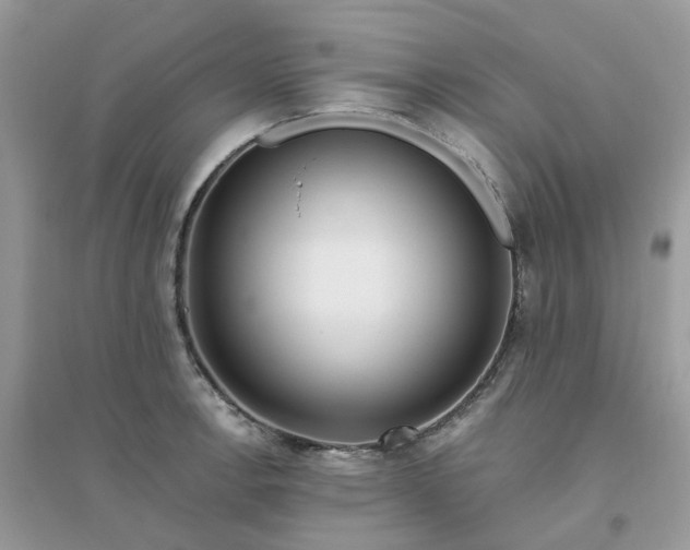 X0000096151138200802011227