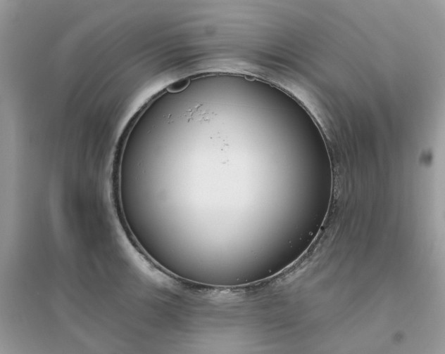 X0000096151139200802011227