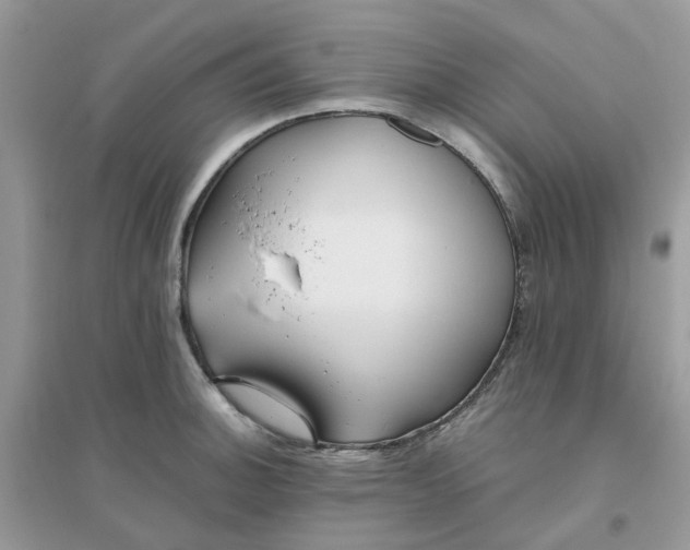 X0000096151140200802011227