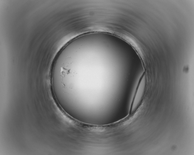 X0000096151141200802011227
