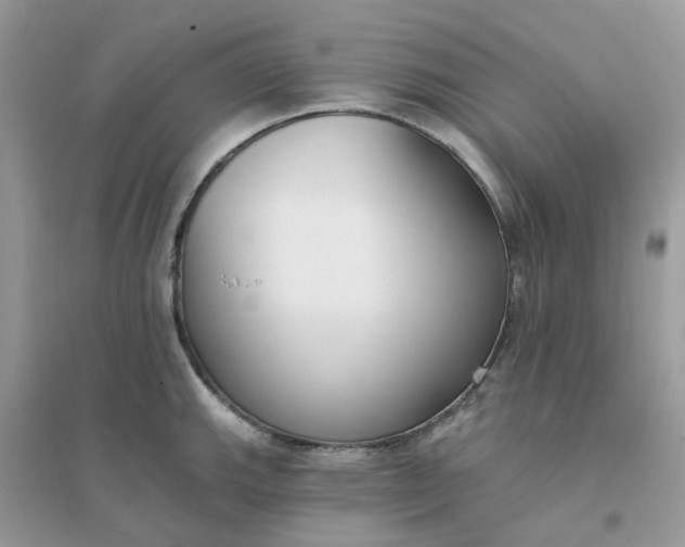 X0000096151143200802011227