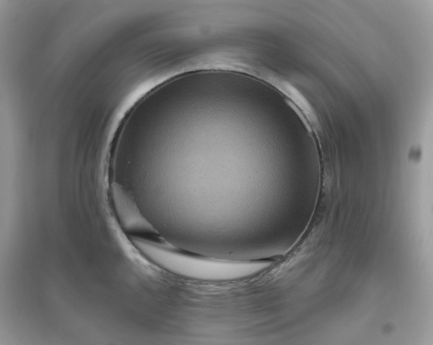 X0000096151144200802011227