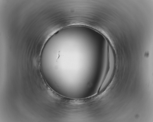 X0000096151145200802011227