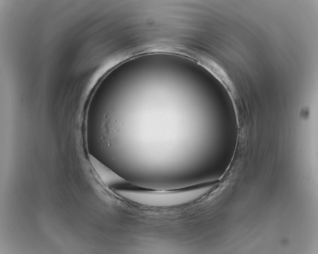 X0000096151146200802011227