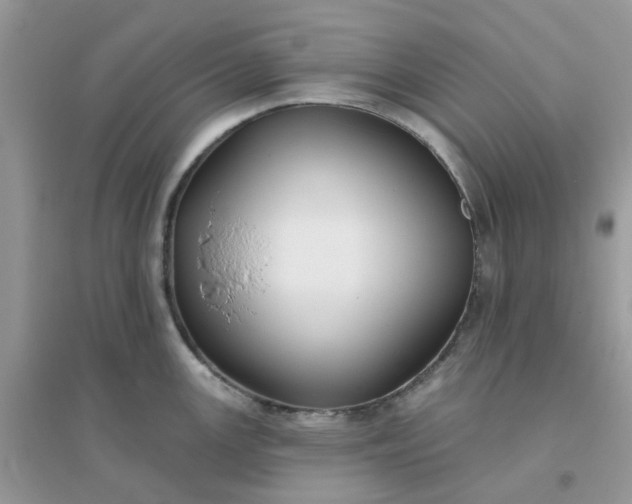 X0000096151147200802011227
