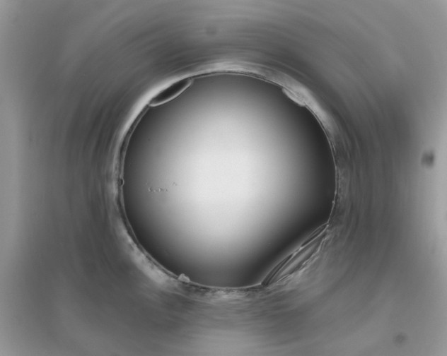 X0000096151148200802011227