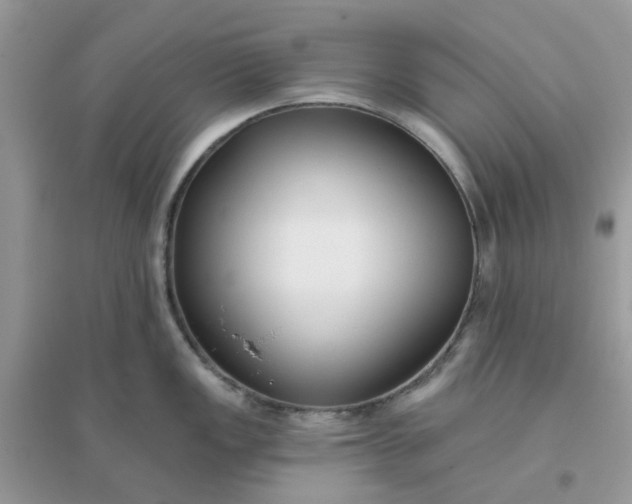 X0000096151149200802011227