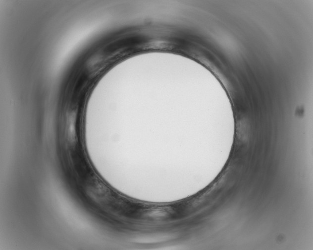 X0000096151150200802011227