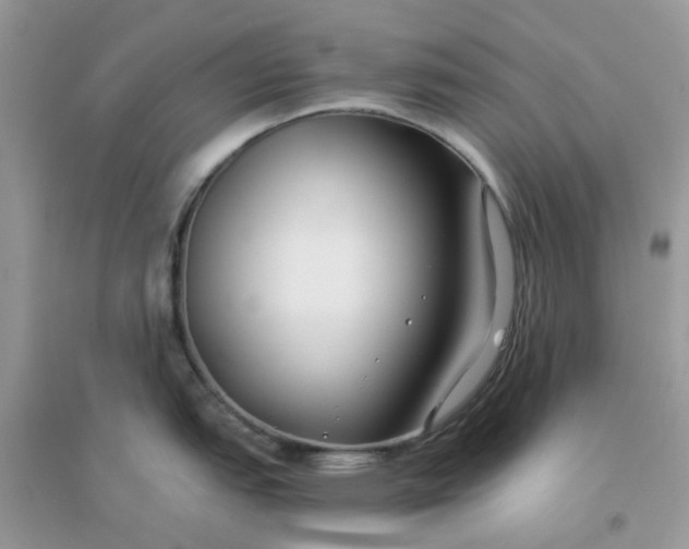 X0000096151151200802011227
