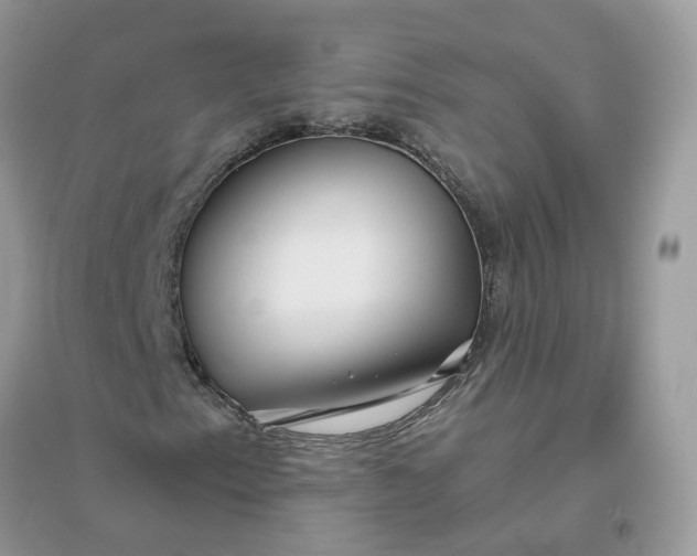 X0000096151153200802011226