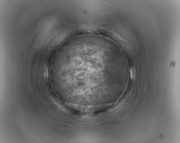 X0000096151155200802011226