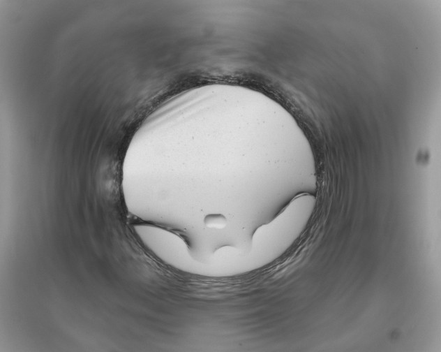 X0000096151156200802011226