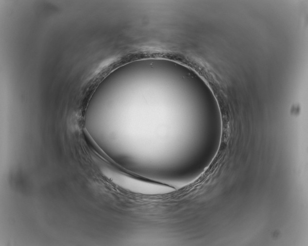 X0000096151157200802011226