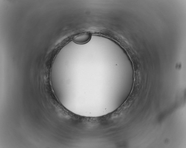 X0000096151158200802011226