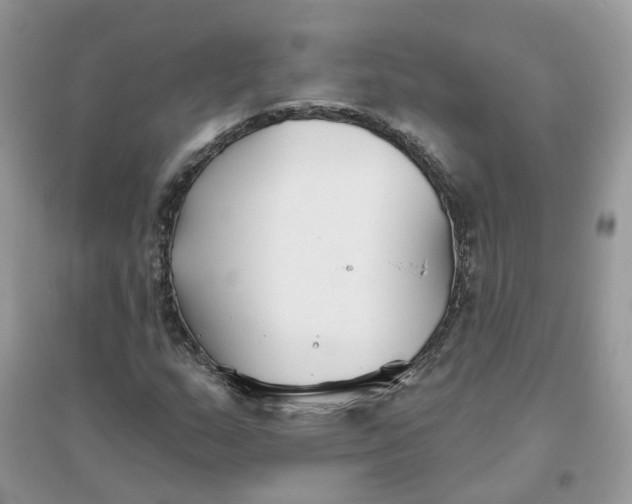 X0000096151159200802011226