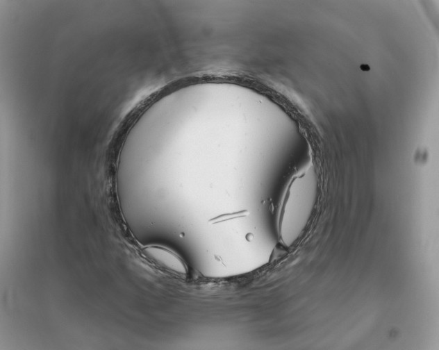 X0000096151160200802011226