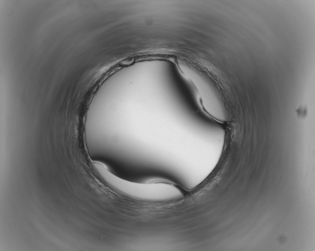 X0000096151161200802011226