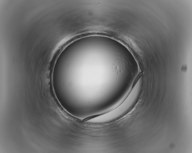 X0000096151164200802011226
