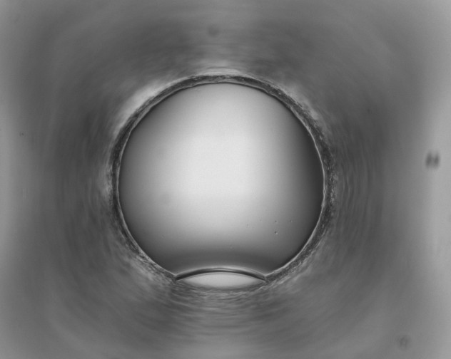 X0000096151167200802011226