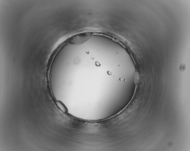 X0000096151168200802011226