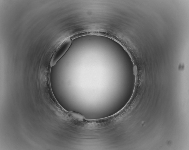 X0000096151169200802011226