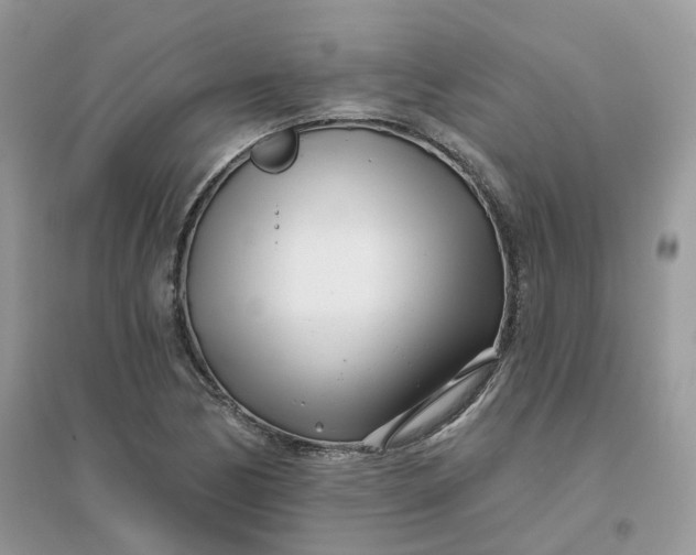 X0000096151170200802011226