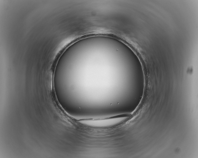 X0000096151171200802011226