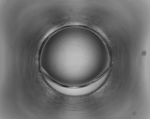 X0000096151173200802011226