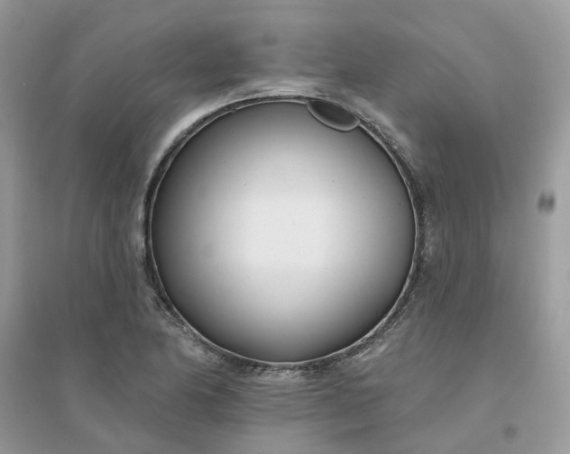 X0000096151174200802011226