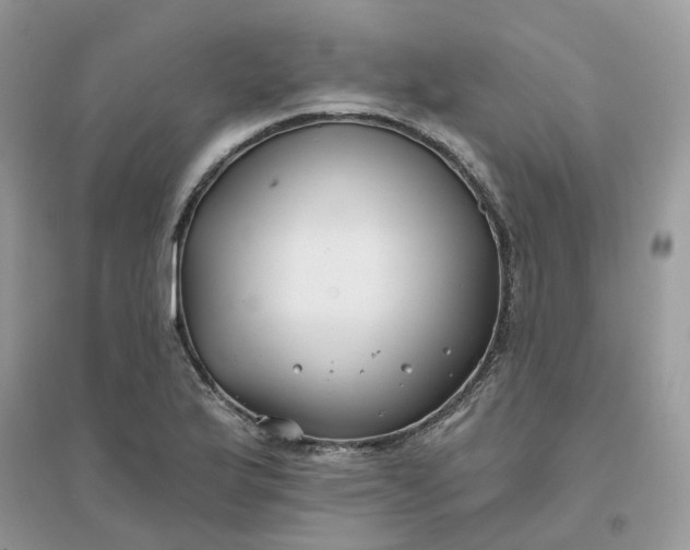 X0000096151175200802011226