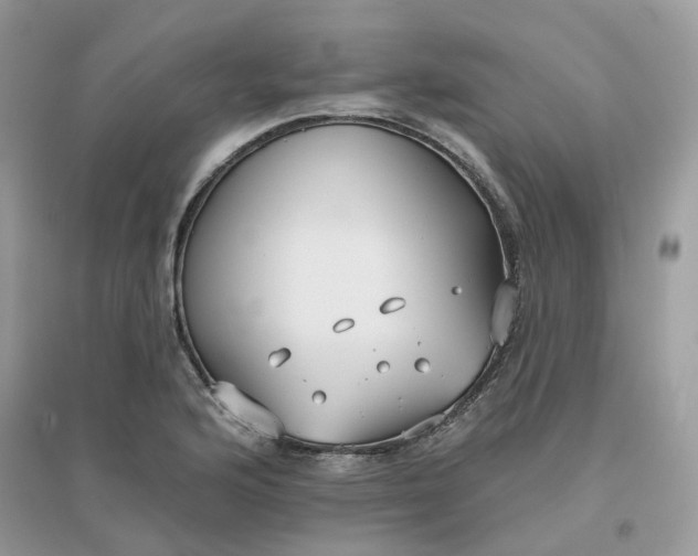 X0000096151176200802011226