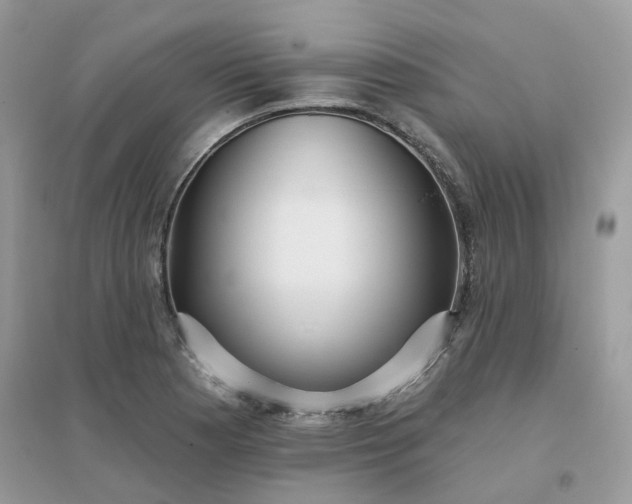 X0000096151177200802011226