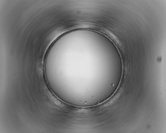 X0000096151178200802011226