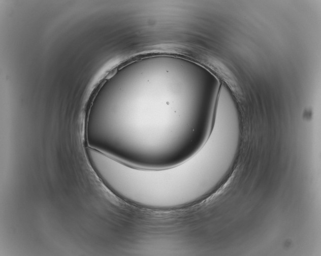X0000096151180200802011226
