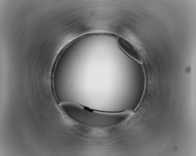 X0000096151181200802011226