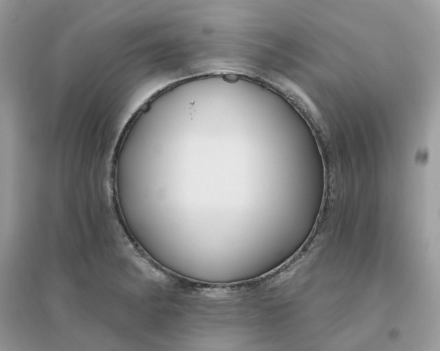 X0000096151182200802011226