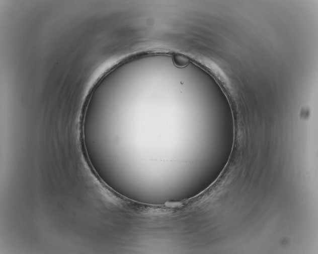 X0000096151183200802011226